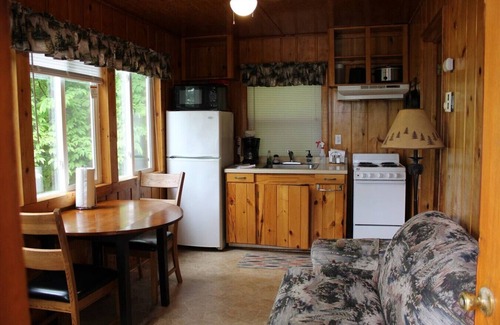 Deer River Cabin | Cabin 1 - Cozy cabin 10 feet from the shore