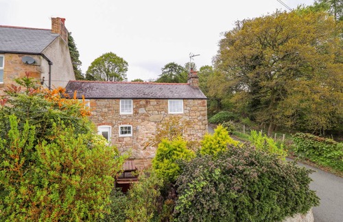 Acrefair Cottage | Cabin ∙ 2 bedrooms ∙ 4 guests