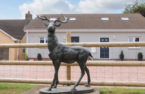 Dawlish Cottage | Cabin ∙ 2 bedrooms ∙ 5 guests