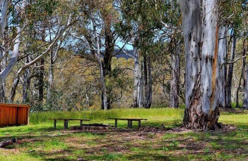 Adaminaby House | Cabin 2 - Snowy Accommodation