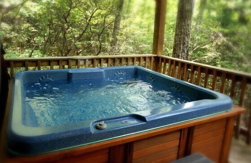 Stanardsville Cabin | Cabin #5 - Love Nest | 0 Bed, 1 Bath