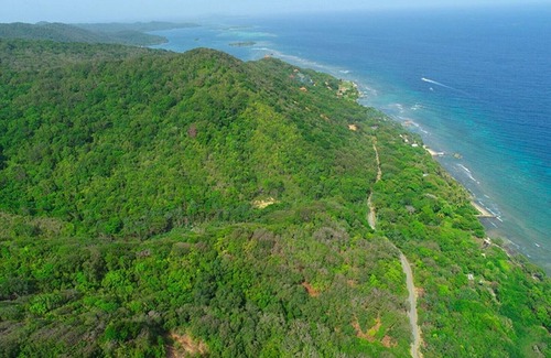 Calabash Bight Cabin | Cabin 6 - Calabash Bight Cabins with Breakfast, Beach & Kayaks