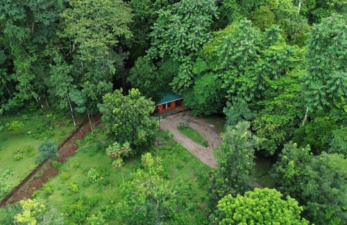 Penas Blancas Cabin | Cabin in the forest near La Fortuna de San Carlos