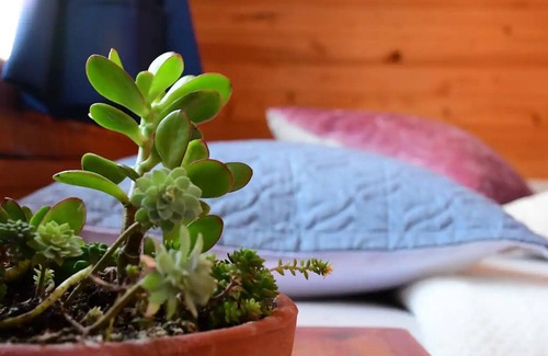 Medellin Cottage | Cabin in Ecogranja in the land of the silleteros, Santa Elena, Medellín