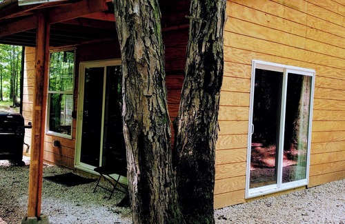 Westford Cabin | Cabin in the woods. Minutes to Pymatuning Lake.