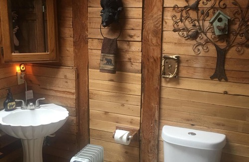 Elbert Cabin | Cabin on 60 acre working horse ranch! Plus peacocks, goats &mini horses!