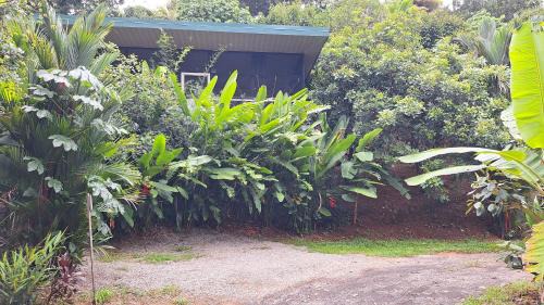 Dominical Apartment | Cabinas fave