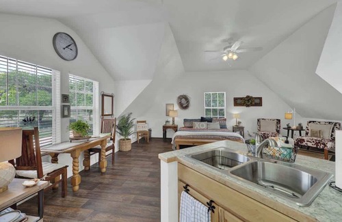 Fredericksburg House | Cactus Flower Treehouse-pet Friendly-hill Country Views!