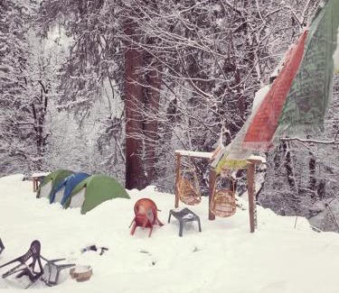 Kullu Other | Cafe vee camping point Tosh kutla