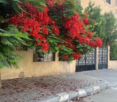 As-Salam Hotel | Cairo