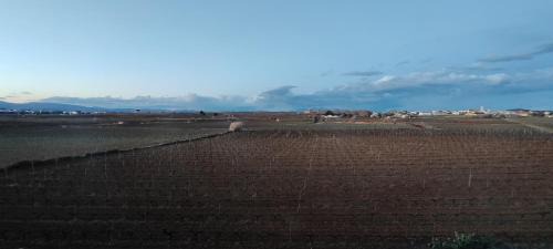 Sant Cugat Sesgarrigues House | CAL LLOP