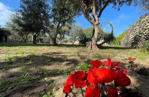 Favignana House | Calafato Guest House