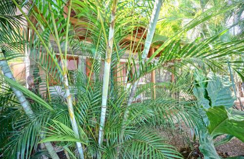 Manzanillo Hotel | Calamocha Lodge