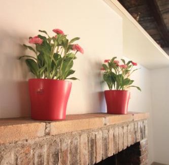 Trastevere Bed & Breakfast | Calisto 6