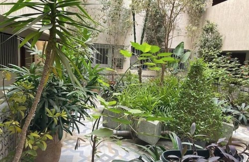 Talborjt Apartment | Calm and cosy typical home in the hyper center