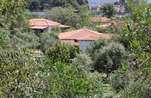 Kakovatos House | Calm located, amid an olive grove, close to the beach, wifi holiday house Ilia, Peloponnese
