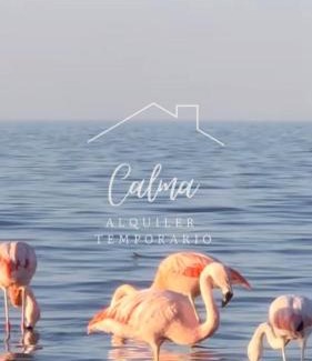 Miramar House | Calma