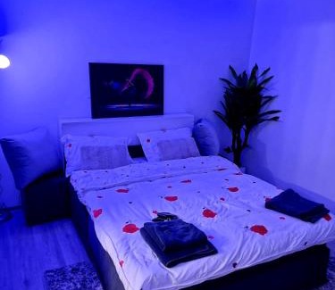 Comanesti Apartment | Camera/garsoniera in regim hotelier
