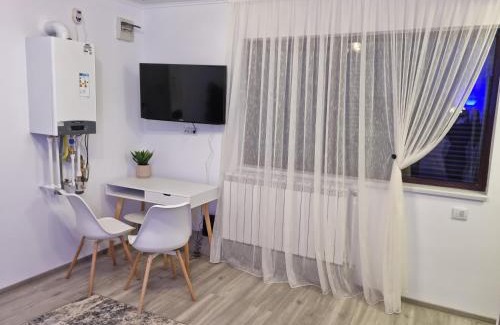 Comanesti Apartment | Camera/garsoniera in regim hotelier