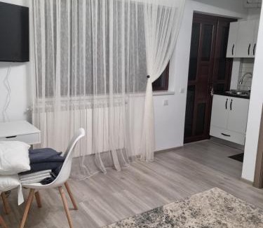 Comanesti Apartment | Camera/garsoniera in regim hotelier