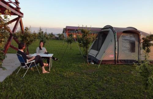 Novi Sad Other | Camp Salaš Farma 47 Čenej