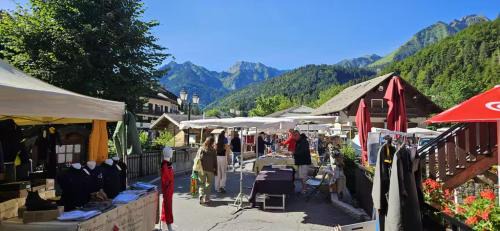 Abondance Apartment | Campanules 2 - Abondance