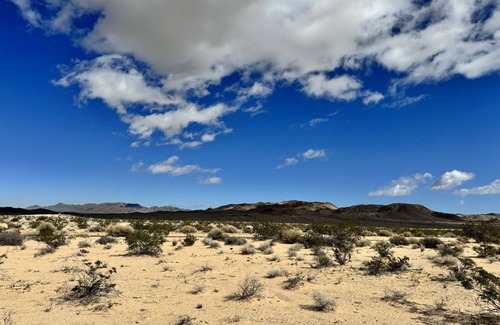 Wonder Valley RV Rental | Campground with fire pit under the stars