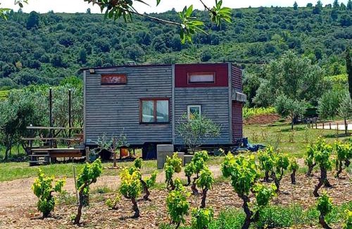 Paziols Other | Camping Nysa Paziols