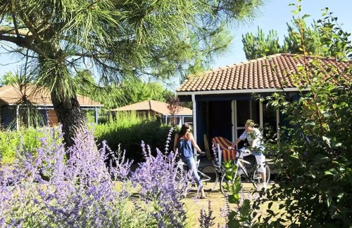 Saint-Vincent-sur-Jard Ski Chalet | Camping Vendée-Océan * - Azureva - 2 room chalet PMR 4 people