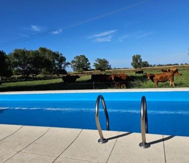 Lobos House | Campo Cuyen, Cabañas