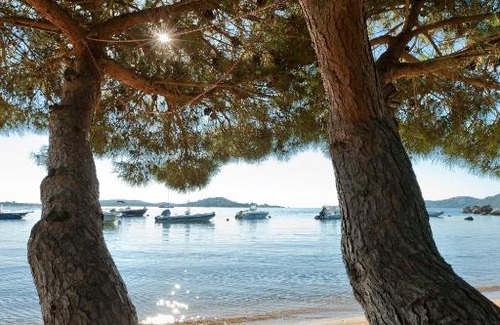 Porto-Vecchio Resort | Campo Di Mare