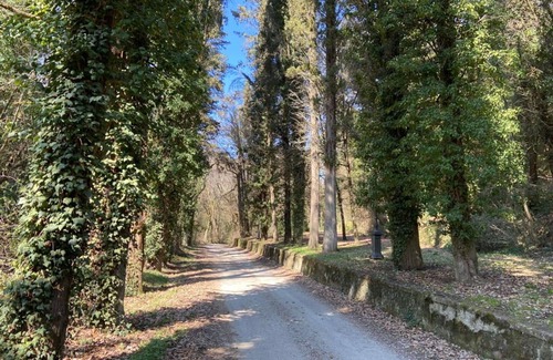Cincelli Apartment | Campoleone 8 - Apartment on historical property near Arezzo, Tuscany