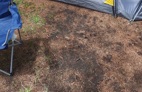 Cheboygan RV Rental | Campsite. Equipment included. (Tents, beds, bedding, etc.) On the lake!