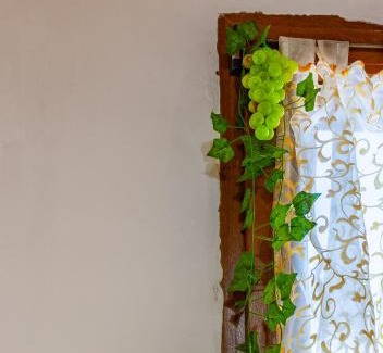 Livorno Apartment | Camy Wine House con giardino vicino alla stazione ferroviaria