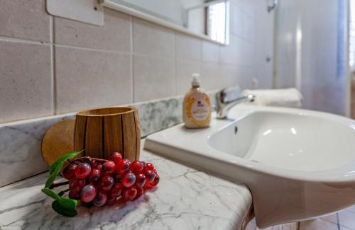 Livorno Apartment | Camy Wine House con giardino vicino alla stazione ferroviaria