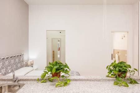 Ciudad Jardin Apartment | Canadian 1