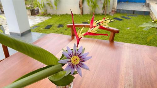 Mirissa House | Canberra Holidays - Mirissa
