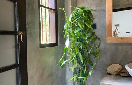 Tangalle House | Canela Land Eco Resort Tangalle