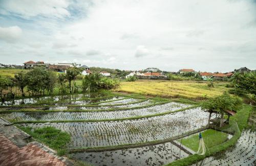Batu Bolong House | Canggu Beach Inn