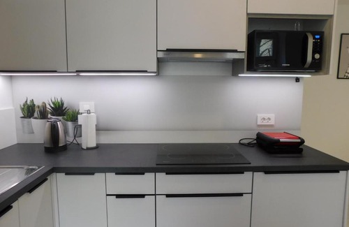 Ljubljana City Centre Apartment | Cankar's secret place