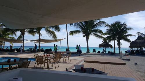 Dominicus Apartment | Caribbean Pearl
