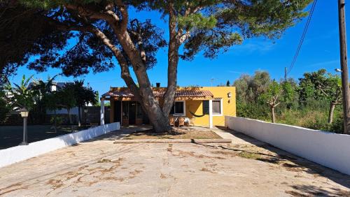 Ciudadela House | Cas Conco