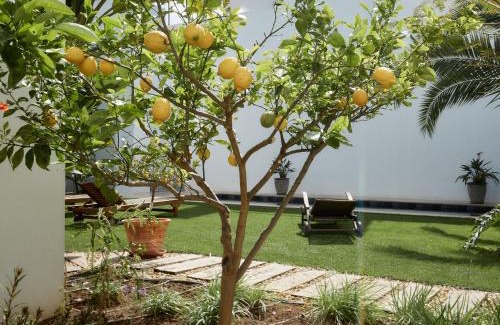 Se Bed & Breakfast | Casa Apollo Guesthouse
