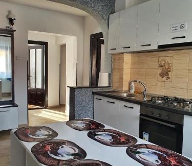 Campulung Moldovenesc Apartment | Casa Bianca