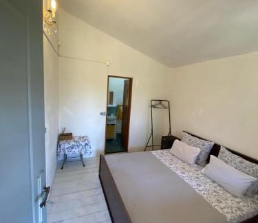 Vadu House | Casa Butnariu