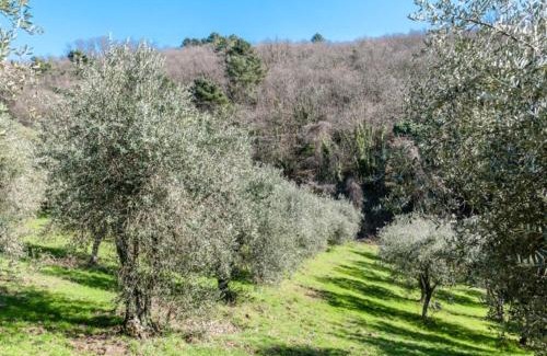 Giugnano Villa | Casa Costanza
