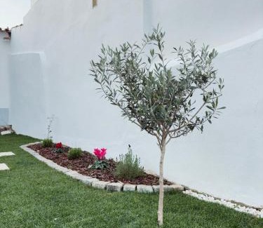 Azaruja House | Casa D'Avó Bá