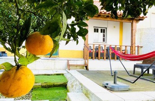 Bombarral House | Casa da Laranjeira, perto de Obidos, Budha Eden, Dinossauros parque