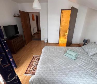 Sibiu House | Casa DaLi