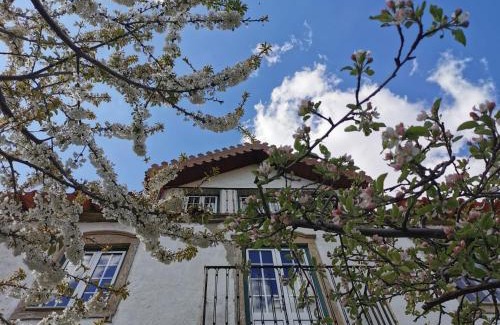 Quinta das Quebradas House | Casa das Quintas